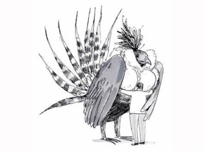 April Fools’ 2022: Gunnison sage grouse cookbooks on sale!