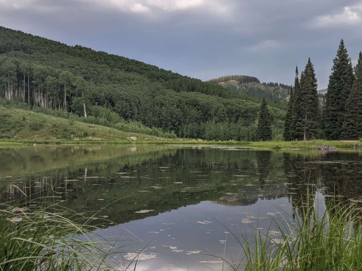 Beaver Ponds