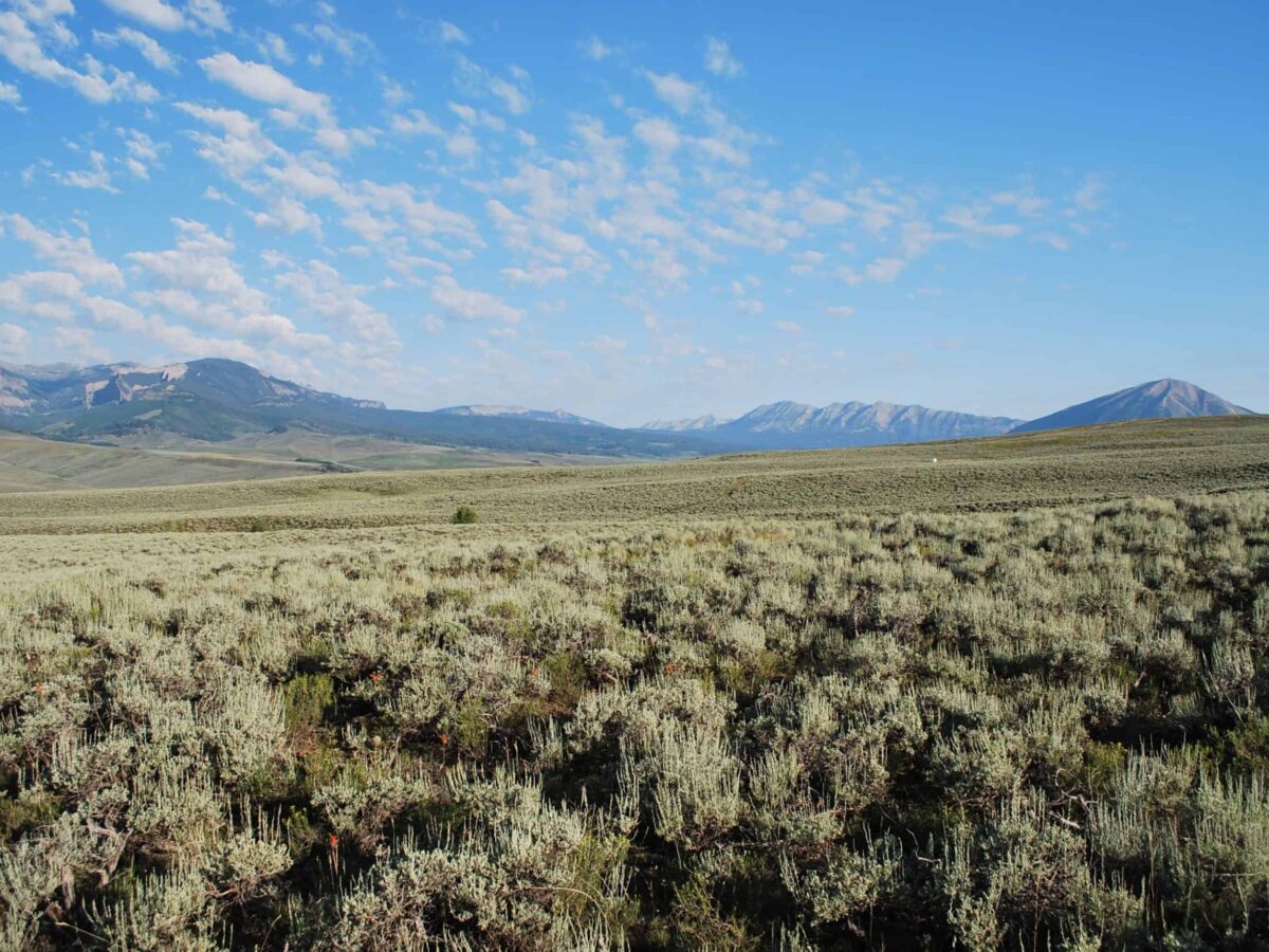 Opinion: Western has a moral duty to lead on climate action