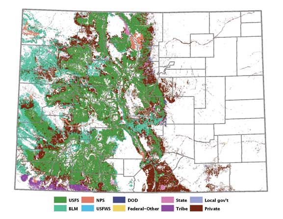 10 key takeaways from Gunnison’s wolf reintroduction meeting with ...