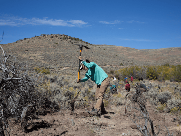 A proud Mountaineer tradition: National Public Lands Day offers a chance for the Western community to get their hands dirty, with a full slate of stewardship activities on the horizon